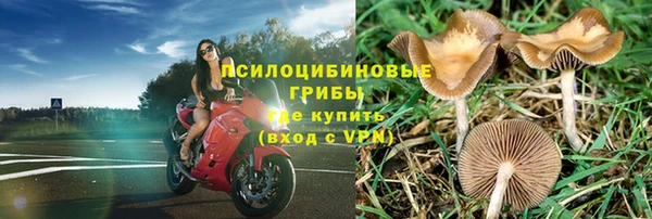 ALPHA PVP Арсеньев